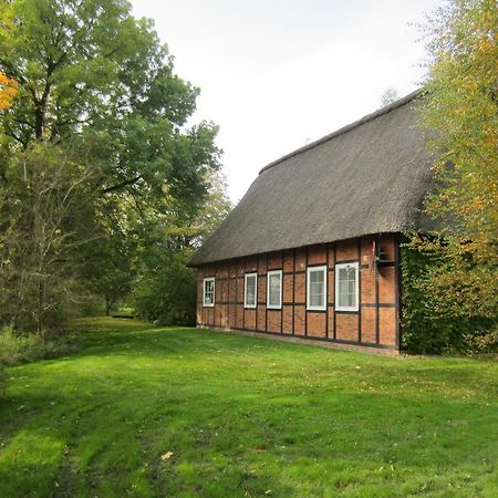 Gaestehaus Eulennest Grossenworden Dış mekan fotoğraf